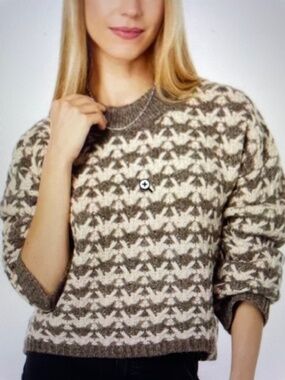 Madewell Aldridge Crop Chunky Knit Pullover Sweater ~ X-Small